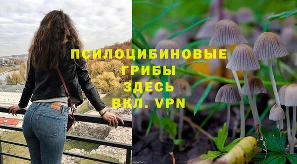 ГАЛЛЮЦИНОГЕННЫЕ ГРИБЫ Балахна