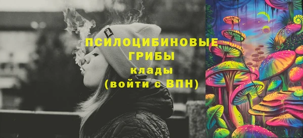 apvp Армянск