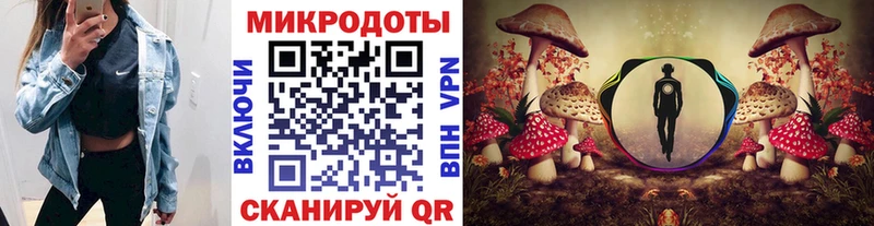 Галлюциногенные грибы MAGIC MUSHROOMS  Красный Кут 